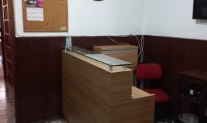 Ilha do Governador – Portuguesa